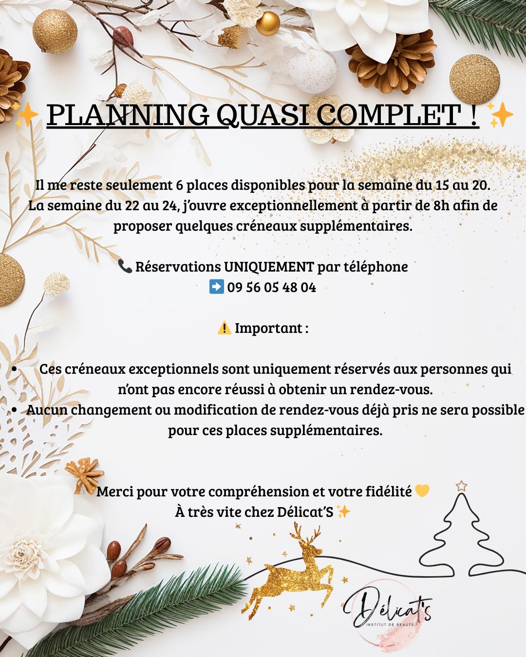🎄Information planning de Noël 🎄